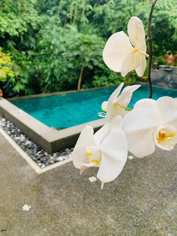 Gek House Ubud Buitenkant foto
