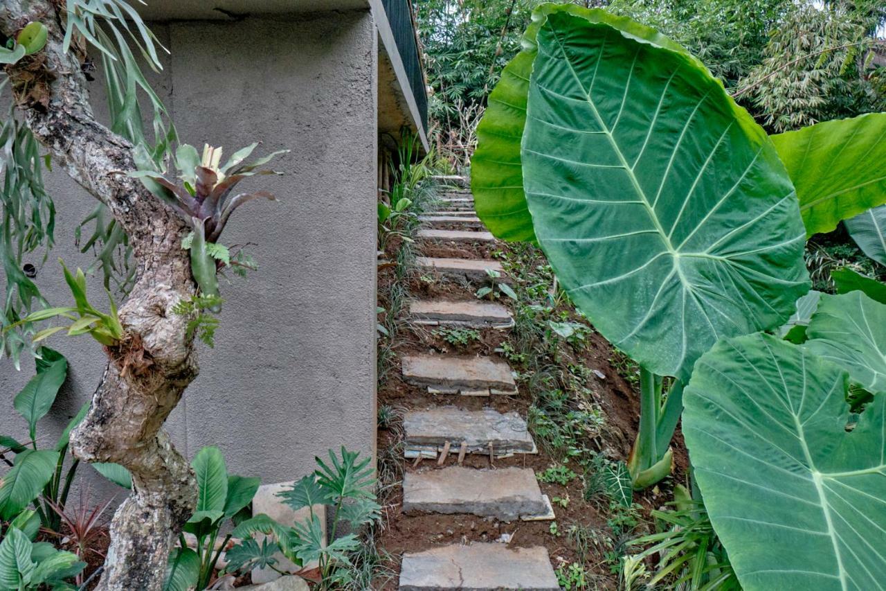 Gek House Ubud Buitenkant foto